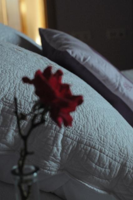 Apartamentos Rurales Romallande Puerto de Vega Dış mekan fotoğraf
